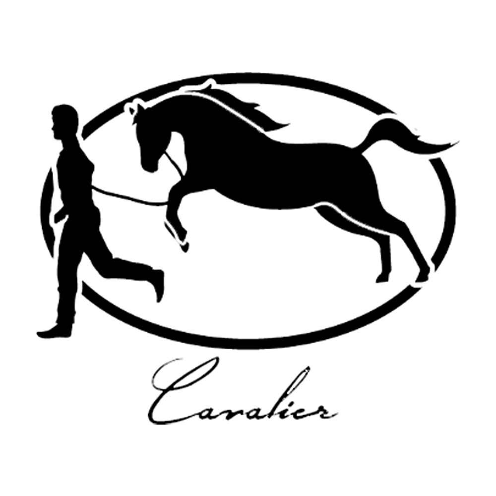 View product media CAVBR Black Series Robusto, , jrcigars 4